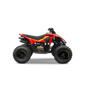 Alternative view of CFMOTO 110cc | Laste ATV | PUNANE