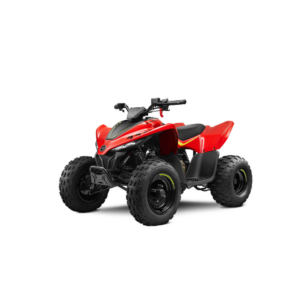 CFMOTO 110cc | Laste ATV | PUNANE
